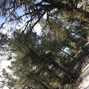 Meet your Posher, Noemi